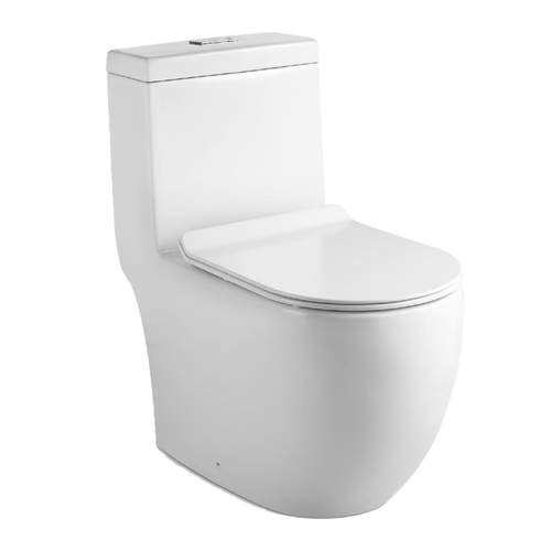 Wc-938 Water Closet (while Stock Lasts) - SaniQUO